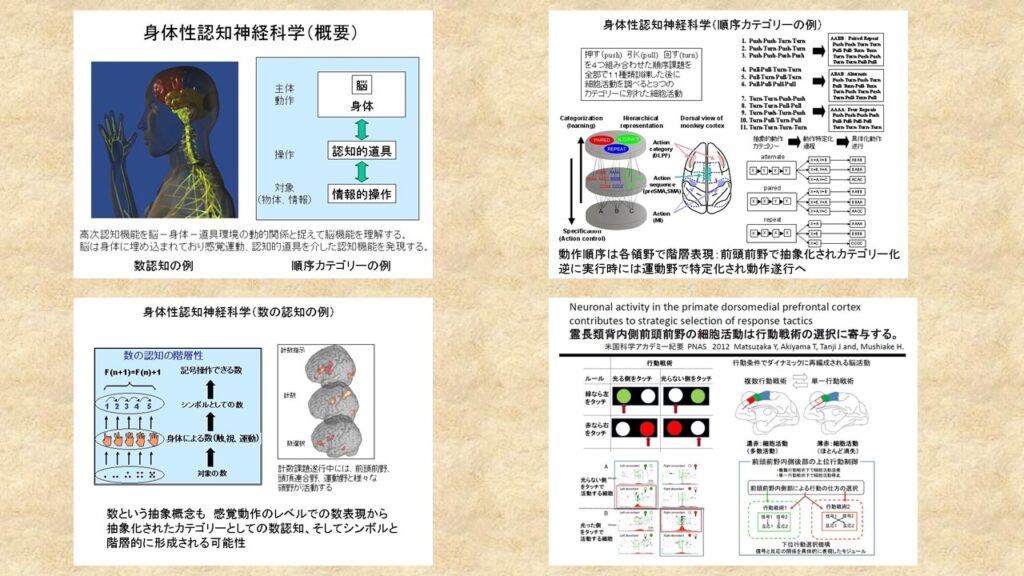 身体認知