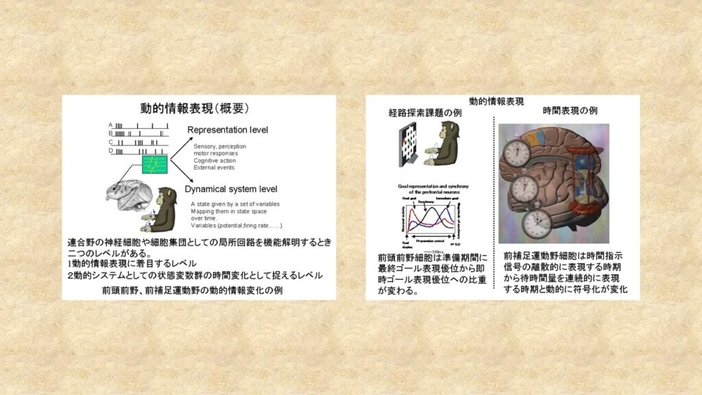動的