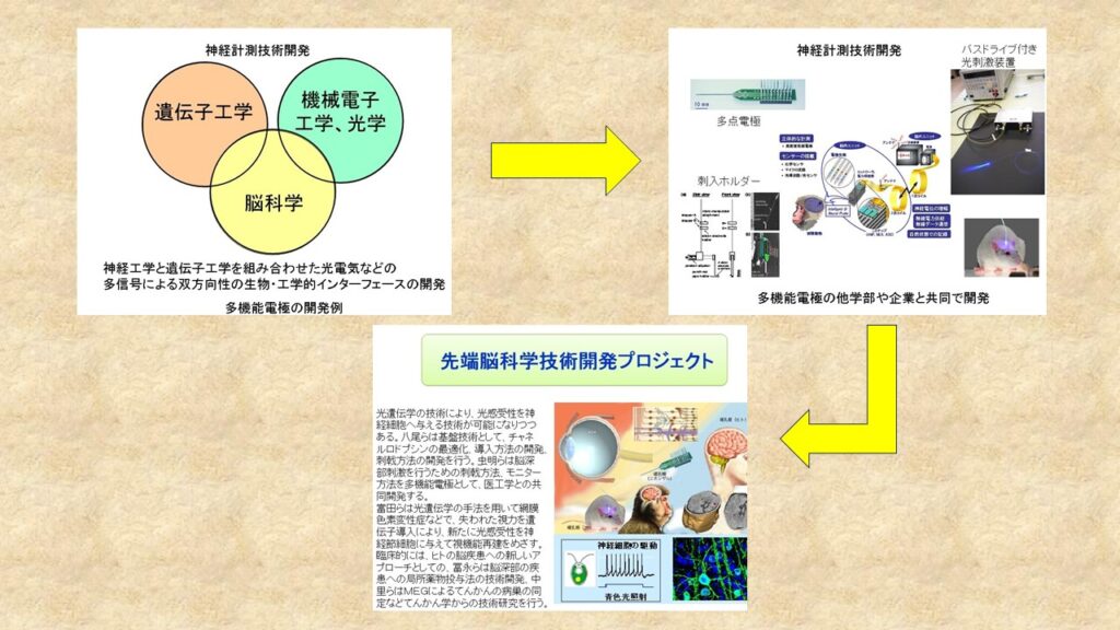 神経計測
